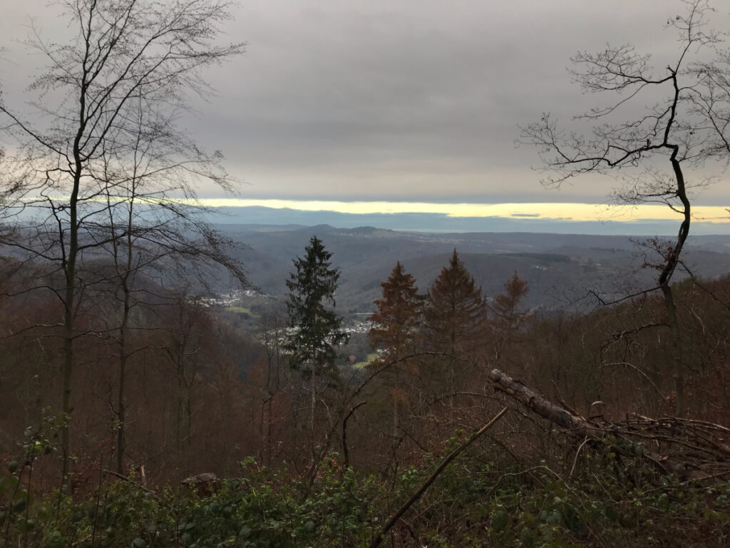 Morgendliches Laufen im Ahrtal, Ausblick Schrock, Homestory Heike